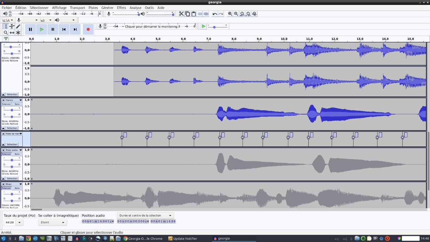 Capture Audacity