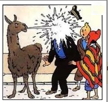 Sans titre.jpg
